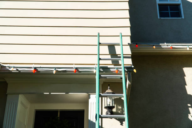 Best Custom Trim and Detailing for Siding  in Kincaid, IL