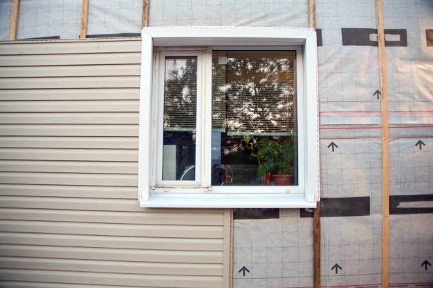 Best Steel Siding Installation  in Kincaid, IL