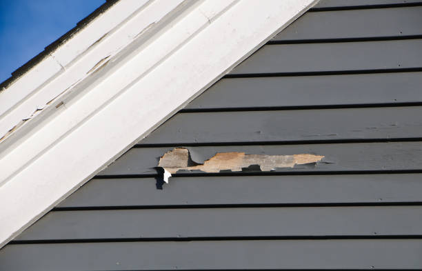 Best Siding Painting and Refinishing  in Kincaid, IL